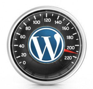 wordpress sayfa yükleme hızı