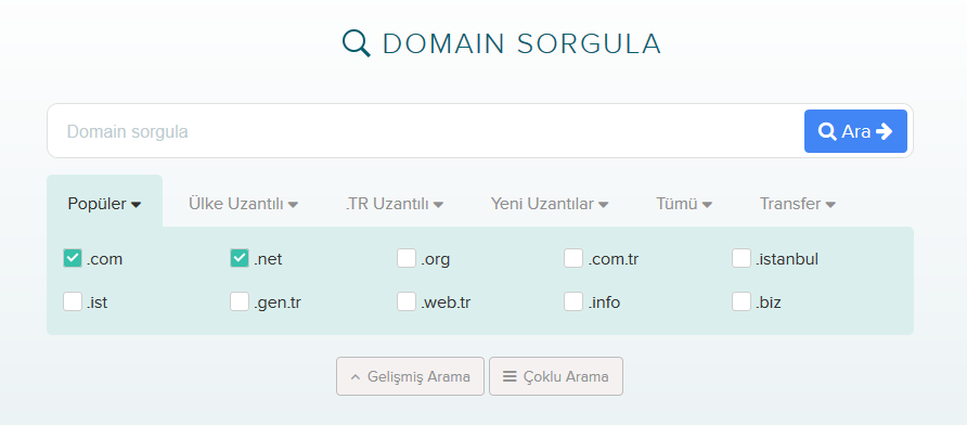 domain-sorgulama