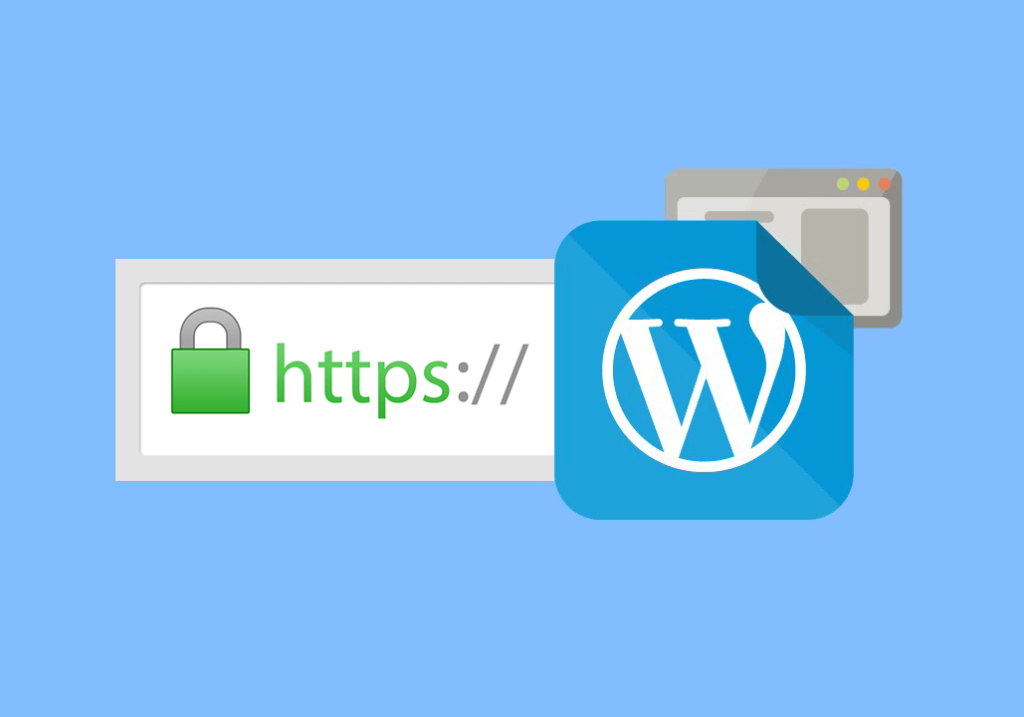 wordpress ssl desteği