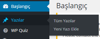 wordpress-blog-yazisi-ekleme