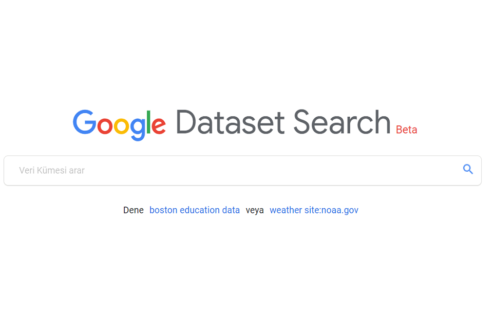 google-veri-kumesi-arama-sayfasi