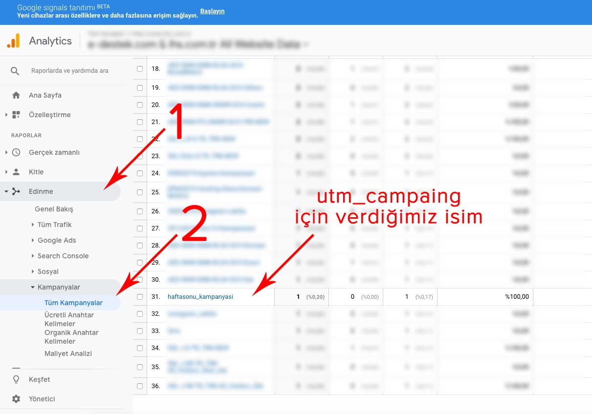 utm_campaign-analyticste-gorme