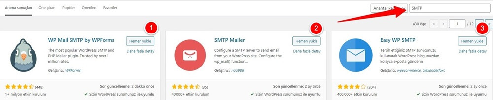 wordpress-smtp-kurulumu-1