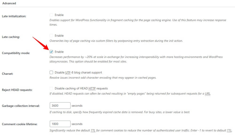 w3-total-cache-page-cache-04