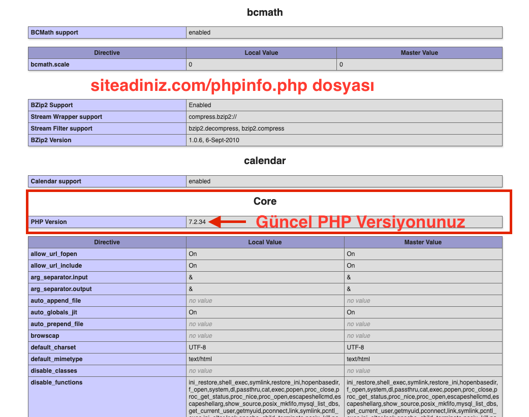 phpinfo-dosyasi-php-versiyon-goruntuleme